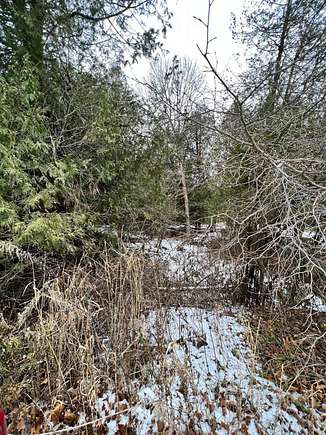 0.4 Acres Of Residential Land For Sale In Algoma, Wisconsin - Landsearch