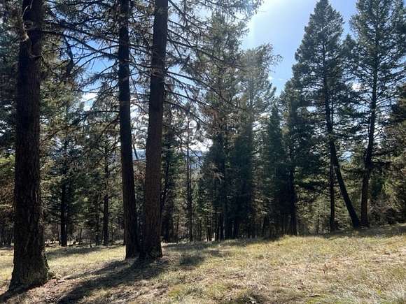 5.1 Acres of Land for Sale in Seeley Lake, Montana