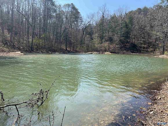 1.2 Acres of Residential Land for Sale in Double Springs, Alabama