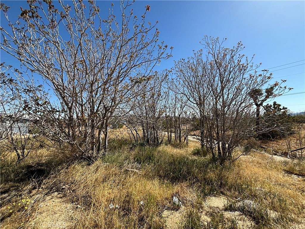 0.23 Acres of Land for Sale in Yucca Valley, California