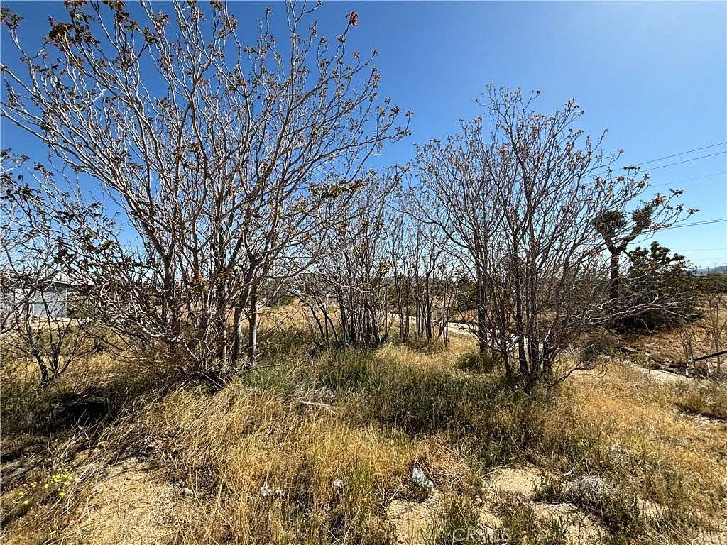 0.227 Acres of Land for Sale in Yucca Valley, California