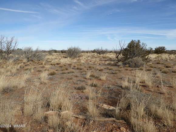 36.87 Acres of Land for Sale in Heber, Arizona