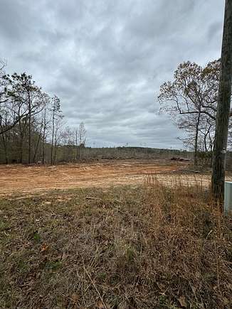 54 Acres of Land for Sale in Ackerman, Mississippi