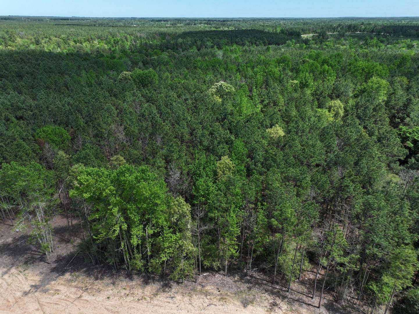 10 Acres of Land for Sale in Lovelady, Texas