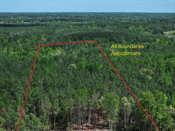 10 Acres of Land for Sale in Lovelady, Texas