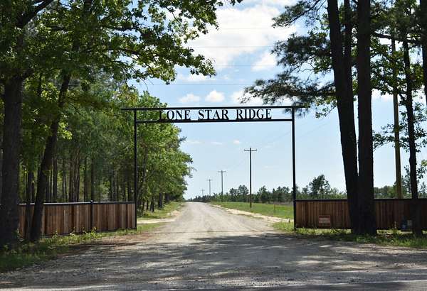10 Acres of Land for Sale in Lovelady, Texas