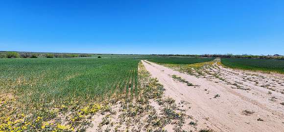 241 Acres of Land with Home for Sale in Bronte, Texas