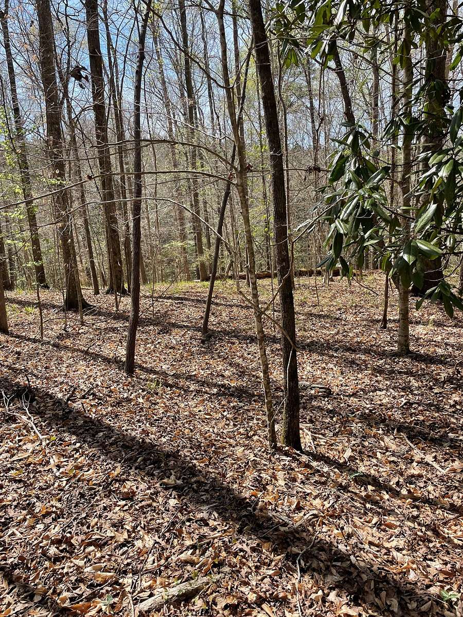 1.6 Acres of Residential Land for Sale in Greenville, Alabama