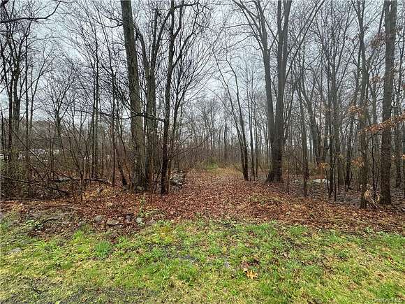 1 Acre of Residential Land for Sale in Wawayanda Town, New York
