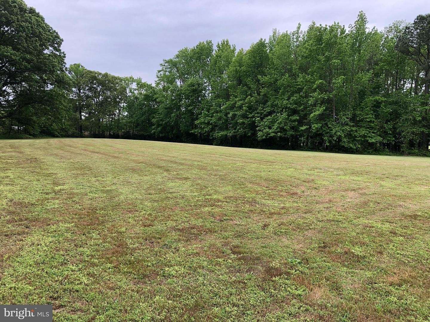 2.9 Acres of Residential Land for Sale in Hague, Virginia
