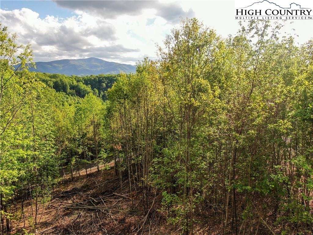 1.31 Acres of Land for Sale in Elk Park, North Carolina