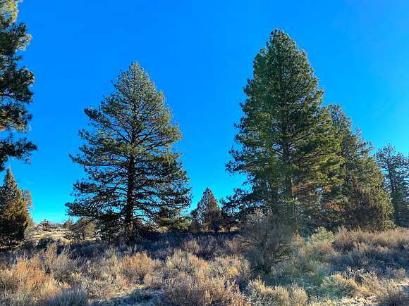 2.4 Acres of Residential Land for Sale in Chiloquin, Oregon