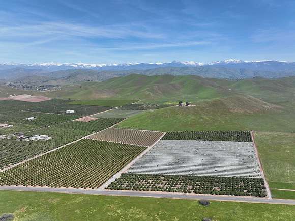 47.8 Acres of Agricultural Land for Sale in Exeter, California