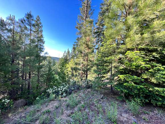 1 Acre of Residential Land for Sale in Alturas, California