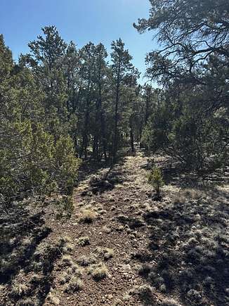 5.9 Acres of Residential Land for Sale in Datil, New Mexico