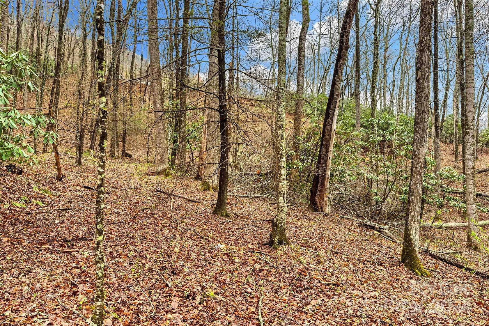2.5 Acres of Residential Land for Sale in Black Mountain, North Carolina