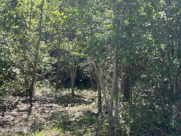 0.83 Acres of Residential Land for Sale in Bay St. Louis, Mississippi