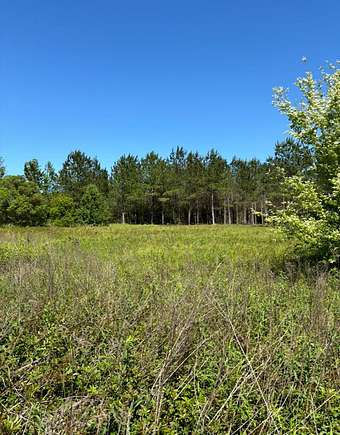6 Acres of Land for Sale in Poplarville, Mississippi