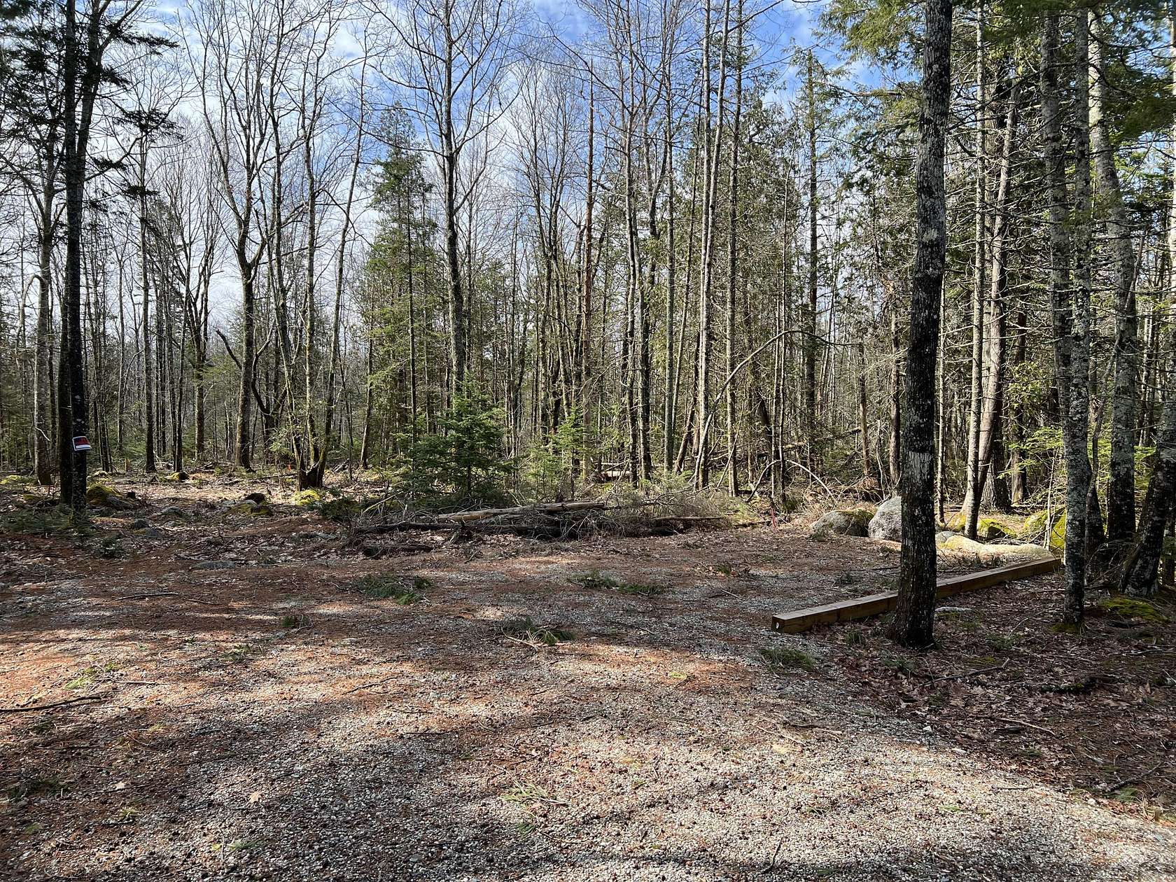 1 Acre of Residential Land for Sale in Orland, Maine