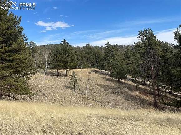 1.3 Acres of Residential Land for Sale in Florissant, Colorado