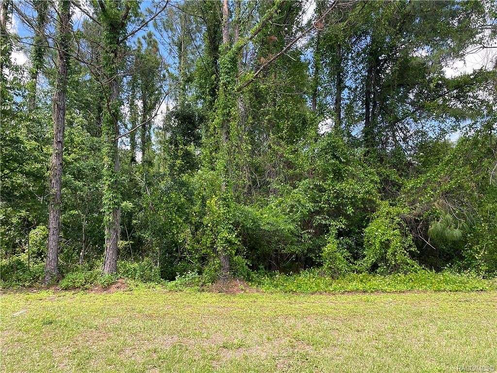 0.31 Acres of Land for Sale in Hernando, Florida