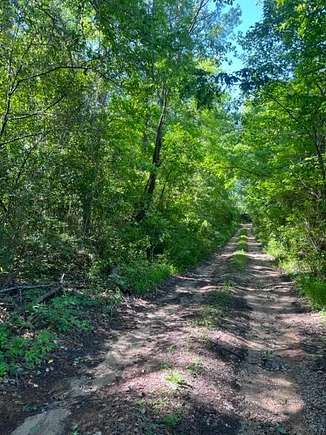 4.2 Acres of Land for Sale in Nacogdoches, Texas