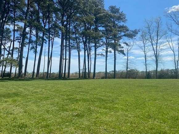 3 Acres of Residential Land for Sale in Parksley, Virginia