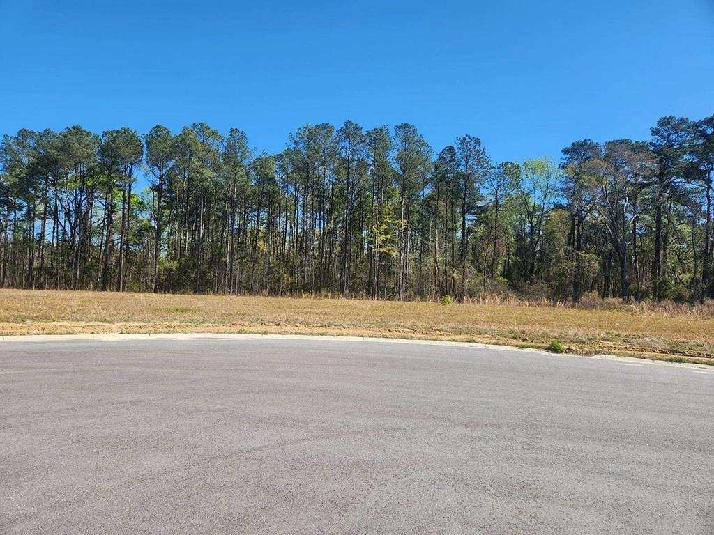 0.61 Acres of Residential Land for Sale in Elloree, South Carolina