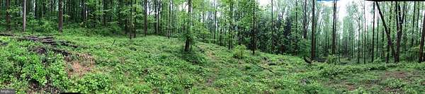 2.55 Acres of Residential Land for Sale in Glenmoore, Pennsylvania