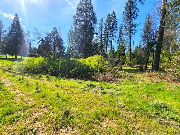 1.7 Acres of Residential Land for Sale in West Point, California