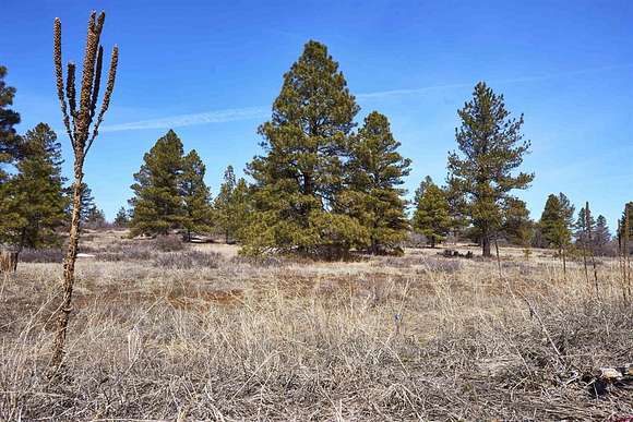 0.3 Acres of Residential Land for Sale in Pagosa Springs, Colorado