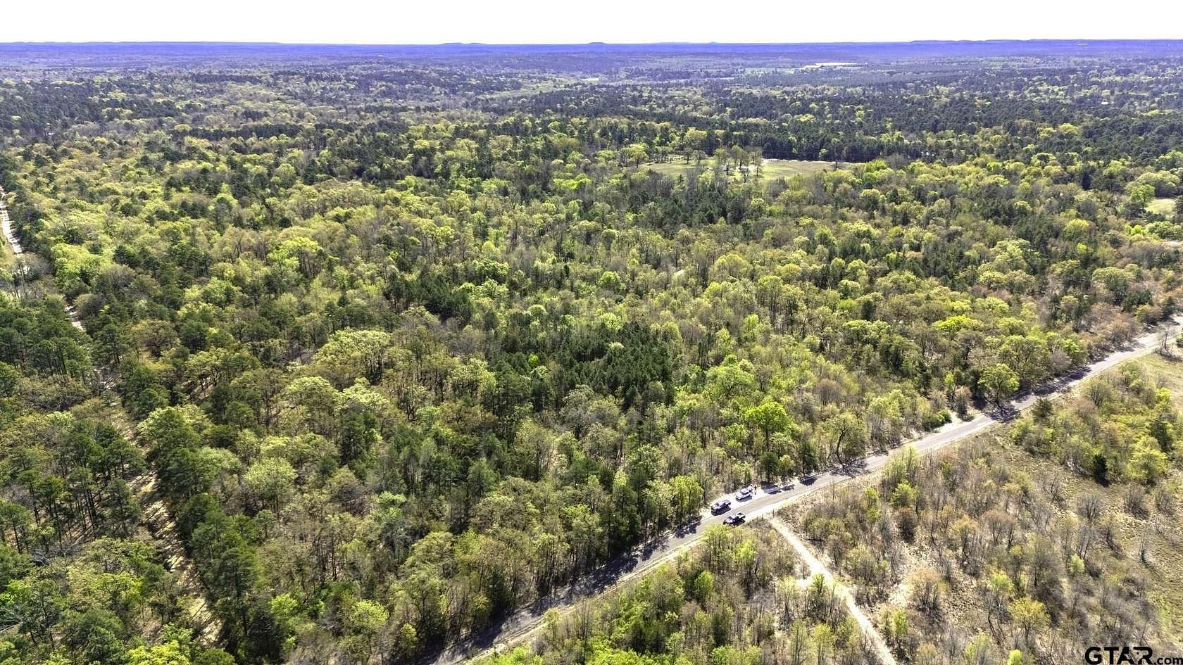 59.1 Acres of Recreational Land for Sale in Winnsboro, Texas