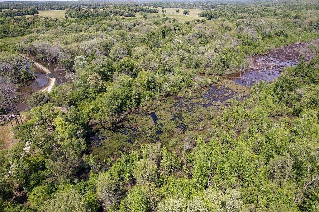 308.98 Acres of Improved Land for Sale in Palestine, Texas