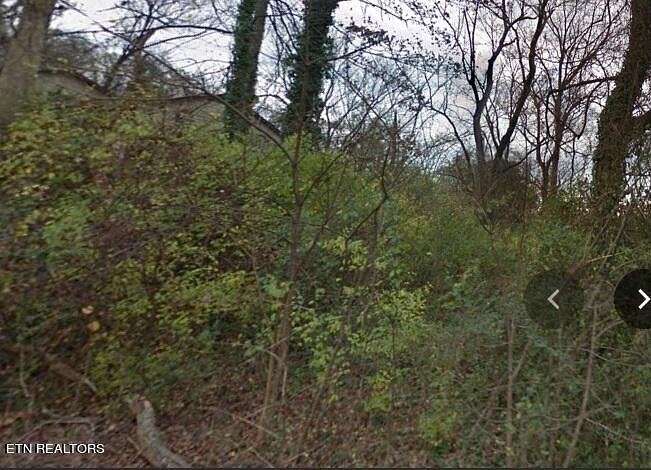 0.17 Acres of Residential Land for Sale in Knoxville, Tennessee