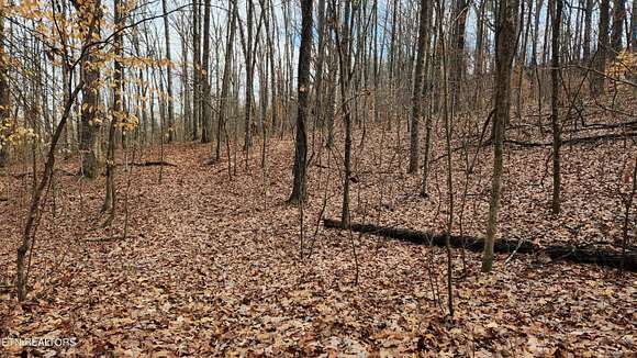 4.7 Acres of Residential Land for Sale in Knoxville, Tennessee