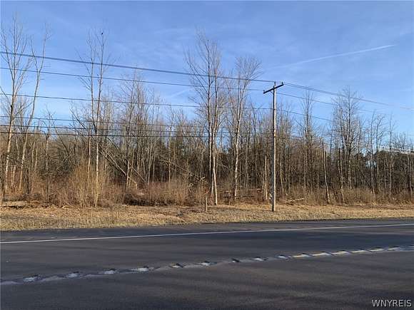0.65 Acres of Commercial Land for Sale in Evans Town, New York