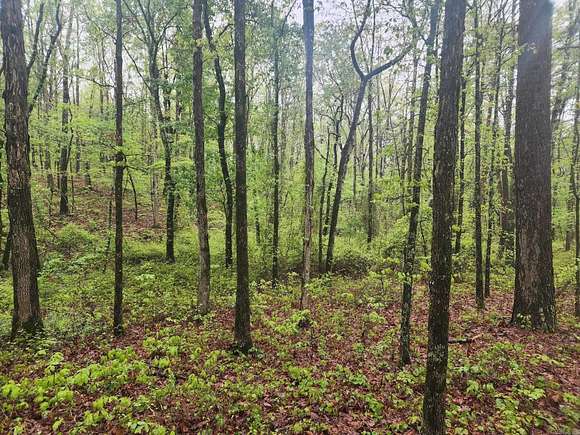 2.3 Acres of Land for Sale in Searcy, Arkansas