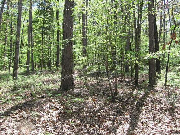 0.25 Acres of Residential Land for Sale in Hot Springs Village, Arkansas