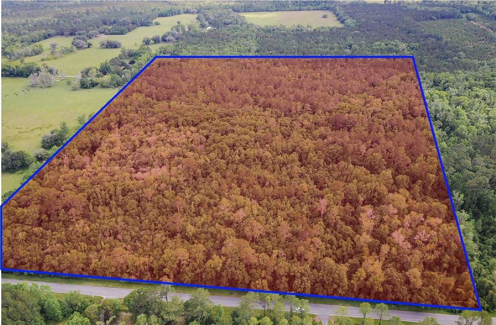 42.29 Acres of Land for Sale in Alachua, Florida