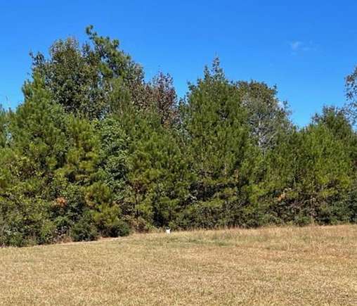 2.5 Acres of Land for Sale in Carriere, Mississippi