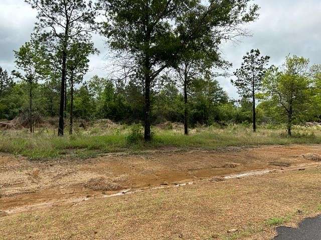 10 Acres of Residential Land for Sale in Picayune, Mississippi