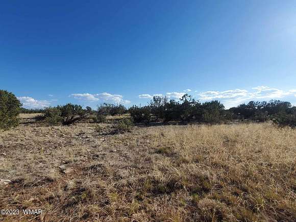 37.8 Acres of Recreational Land for Sale in Heber, Arizona