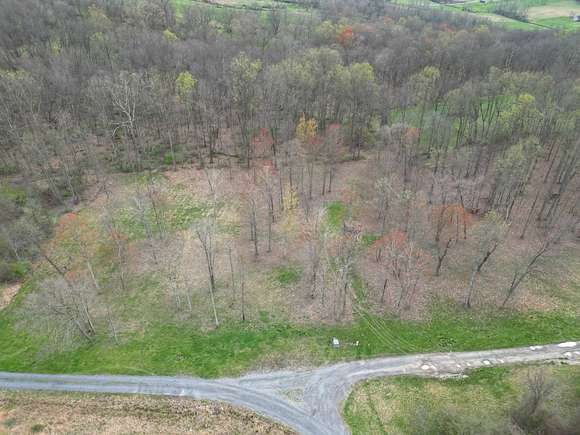 3.2 Acres of Land for Auction in Bridgeport, West Virginia