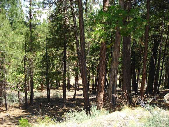6.2 Acres of Residential Land for Sale in Portola, California