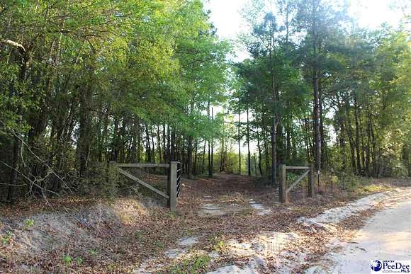 14.5 Acres of Recreational Land for Sale in Marion, South Carolina
