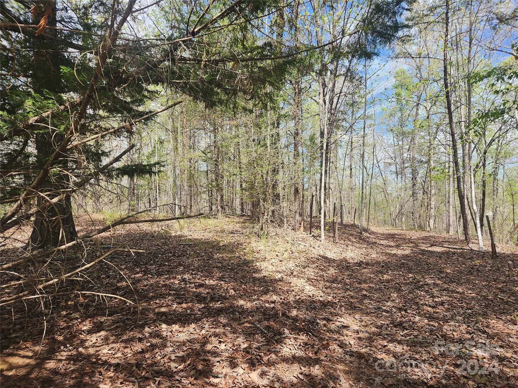 9.41 Acres of Residential Land for Sale in Rutherfordton, North Carolina