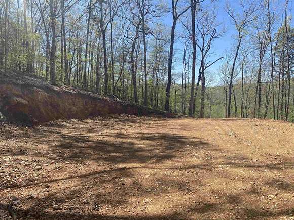 10 Acres of Recreational Land for Sale in Mountain View, Arkansas