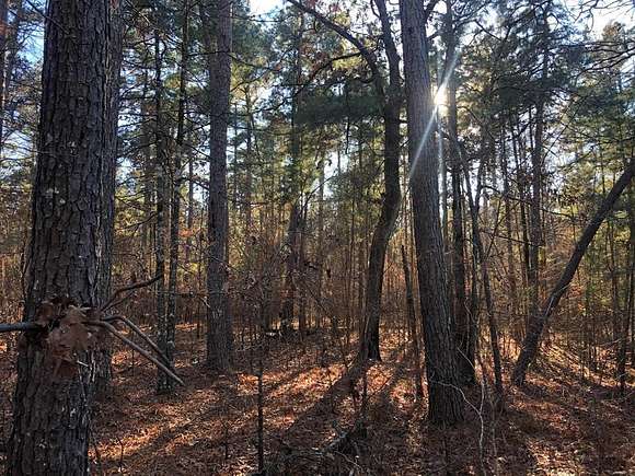 80 Acres of Recreational Land for Sale in Plain Dealing, Louisiana