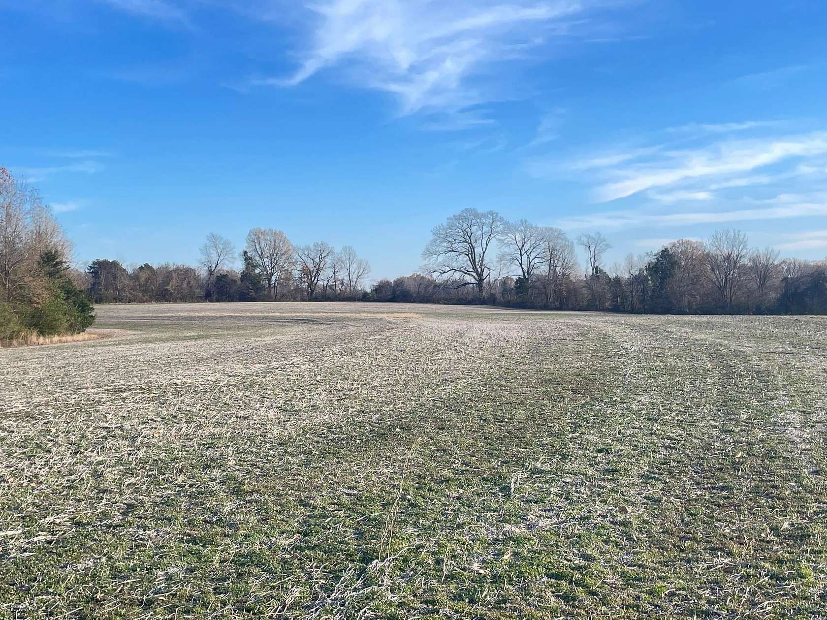 69.3 Acres of Agricultural Land for Sale in Medina, Tennessee