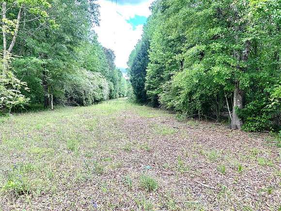 41 Acres of Land for Sale in Dothan, Alabama